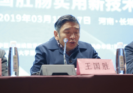 王国胜的logo