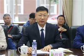 杨欣斌的logo